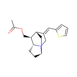 CC(=O)OC[C@H]1[C@H]2C[C@H]3CC[C@H]1N3C/C2=C\c1cccs1 ZINC000261138219