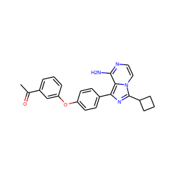 CC(=O)c1cccc(Oc2ccc(-c3nc(C4CCC4)n4ccnc(N)c34)cc2)c1 ZINC000096168229