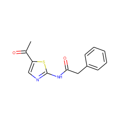 CC(=O)c1cnc(NC(=O)Cc2ccccc2)s1 ZINC000028398304