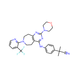 CC(C)(C#N)c1ccc(Nc2nc(N3CCOCC3)nc3c2CCN(c2ncccc2C(F)(F)F)CC3)cc1 ZINC000064548704