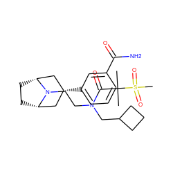 CC(C)(C(=O)N(CCN1[C@H]2CC[C@@H]1C[C@H](c1cccc(C(N)=O)c1)C2)CC1CCC1)S(C)(=O)=O ZINC000117291756