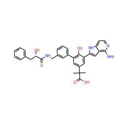 CC(C)(C(=O)O)c1cc(-c2cccc(CNC(=O)[C@@H](O)Cc3ccccc3)c2)c(O)c(-c2cc3c(N)nccc3[nH]2)c1 ZINC000101090956