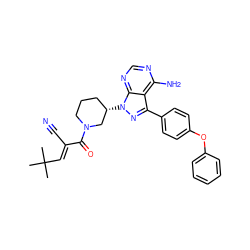 CC(C)(C)/C=C(\C#N)C(=O)N1CCC[C@H](n2nc(-c3ccc(Oc4ccccc4)cc3)c3c(N)ncnc32)C1 ZINC000149837402