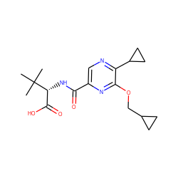 CC(C)(C)[C@H](NC(=O)c1cnc(C2CC2)c(OCC2CC2)n1)C(=O)O ZINC000207371595