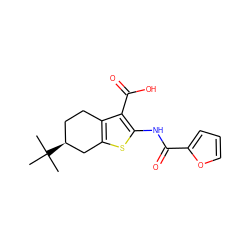 CC(C)(C)[C@H]1CCc2c(sc(NC(=O)c3ccco3)c2C(=O)O)C1 ZINC000000191636