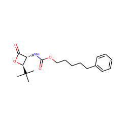 CC(C)(C)[C@H]1OC(=O)[C@@H]1NC(=O)OCCCCCc1ccccc1 ZINC000148858973