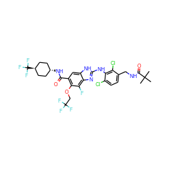 CC(C)(C)C(=O)NCc1ccc(Cl)c(Nc2nc3c(F)c(OCC(F)(F)F)c(C(=O)N[C@H]4CC[C@H](C(F)(F)F)CC4)cc3[nH]2)c1Cl ZINC000261165279