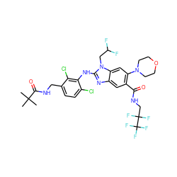 CC(C)(C)C(=O)NCc1ccc(Cl)c(Nc2nc3cc(C(=O)NCC(F)(F)C(F)(F)F)c(N4CCOCC4)cc3n2CC(F)F)c1Cl ZINC000169700947