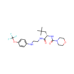 CC(C)(C)C[C@H](NC(=O)N1CCOCC1)C(=O)NCCNc1ccc(OC(F)(F)F)cc1 ZINC000014971996