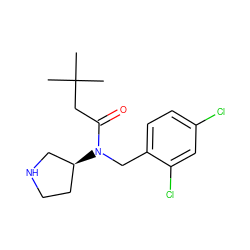 CC(C)(C)CC(=O)N(Cc1ccc(Cl)cc1Cl)[C@H]1CCNC1 ZINC000038208422