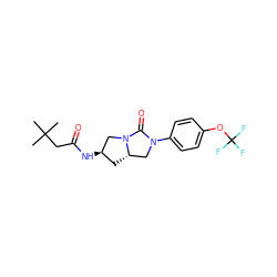 CC(C)(C)CC(=O)N[C@@H]1C[C@H]2CN(c3ccc(OC(F)(F)F)cc3)C(=O)N2C1 ZINC000096168545