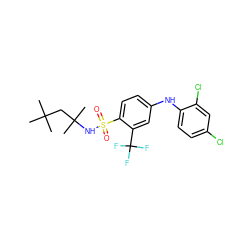 CC(C)(C)CC(C)(C)NS(=O)(=O)c1ccc(Nc2ccc(Cl)cc2Cl)cc1C(F)(F)F ZINC000144638210