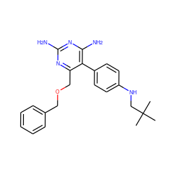 CC(C)(C)CNc1ccc(-c2c(N)nc(N)nc2COCc2ccccc2)cc1 ZINC000013686029