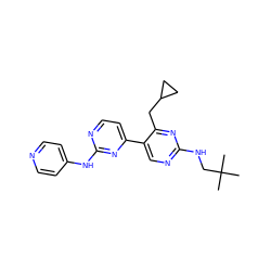 CC(C)(C)CNc1ncc(-c2ccnc(Nc3ccncc3)n2)c(CC2CC2)n1 ZINC000203697500