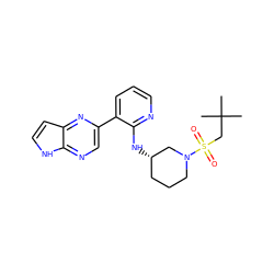 CC(C)(C)CS(=O)(=O)N1CCC[C@H](Nc2ncccc2-c2cnc3[nH]ccc3n2)C1 ZINC000169067101