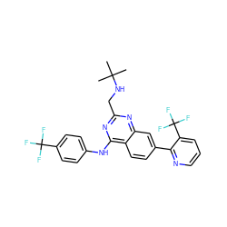 CC(C)(C)NCc1nc(Nc2ccc(C(F)(F)F)cc2)c2ccc(-c3ncccc3C(F)(F)F)cc2n1 ZINC000040860071