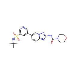 CC(C)(C)NS(=O)(=O)c1cncc(-c2ccc3nc(NC(=O)N4CCOCC4)nn3c2)c1 ZINC000084687804