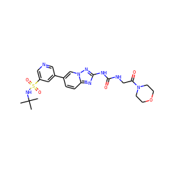 CC(C)(C)NS(=O)(=O)c1cncc(-c2ccc3nc(NC(=O)NCC(=O)N4CCOCC4)nn3c2)c1 ZINC000068245759