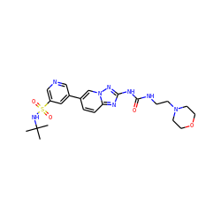 CC(C)(C)NS(=O)(=O)c1cncc(-c2ccc3nc(NC(=O)NCCN4CCOCC4)nn3c2)c1 ZINC000084706415