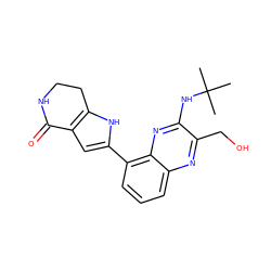 CC(C)(C)Nc1nc2c(-c3cc4c([nH]3)CCNC4=O)cccc2nc1CO ZINC000206134443