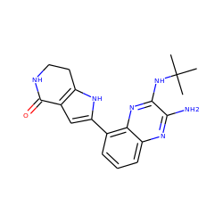 CC(C)(C)Nc1nc2c(-c3cc4c([nH]3)CCNC4=O)cccc2nc1N ZINC000206117431