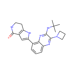 CC(C)(C)Nc1nc2c(-c3cc4c([nH]3)CCNC4=O)cccc2nc1N1CCC1 ZINC000206088175