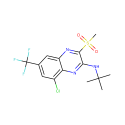 CC(C)(C)Nc1nc2c(Cl)cc(C(F)(F)F)cc2nc1S(C)(=O)=O ZINC000028951138