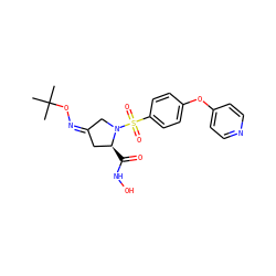 CC(C)(C)O/N=C1/C[C@H](C(=O)NO)N(S(=O)(=O)c2ccc(Oc3ccncc3)cc2)C1 ZINC000027618063