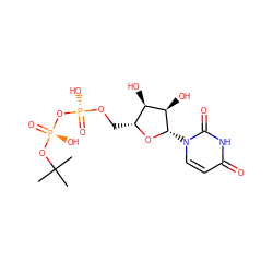 CC(C)(C)O[P@@](=O)(O)O[P@@](=O)(O)OC[C@H]1O[C@@H](n2ccc(=O)[nH]c2=O)[C@H](O)[C@@H]1O ZINC000045245940