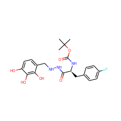 CC(C)(C)OC(=O)N[C@@H](Cc1ccc(F)cc1)C(=O)NNCc1ccc(O)c(O)c1O ZINC001772646711