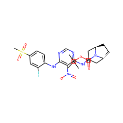 CC(C)(C)OC(=O)N1[C@@H]2CC[C@@H]1CC(Nc1ncnc(Nc3ccc(S(C)(=O)=O)cc3F)c1[N+](=O)[O-])C2 ZINC000220908847