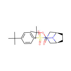 CC(C)(C)OC(=O)N1[C@H]2CC[C@@H]1CN(S(=O)(=O)c1ccc(C(C)(C)C)cc1)C2 ZINC000049033805