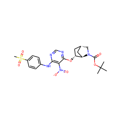 CC(C)(C)OC(=O)N1C[C@H]2C[C@@H](Oc3ncnc(Nc4ccc(S(C)(=O)=O)cc4)c3[N+](=O)[O-])[C@H]1C2 ZINC001772613542