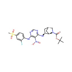 CC(C)(C)OC(=O)N1C[C@H]2C[C@H](Nc3ncnc(Nc4ccc(S(C)(=O)=O)cc4F)c3[N+](=O)[O-])[C@H]1C2 ZINC001772641931