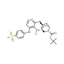 CC(C)(C)OC(=O)N1C[C@H]2CC[C@H]1C[C@@H]2Nc1ncnc(Nc2ccc(S(C)(=O)=O)cc2)c1[N+](=O)[O-] ZINC001772645016