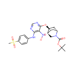 CC(C)(C)OC(=O)N1C[C@H]2CC[C@H]1C[C@@H]2Oc1ncnc(Nc2ccc(S(C)(=O)=O)cc2)c1[N+](=O)[O-] ZINC001772653840