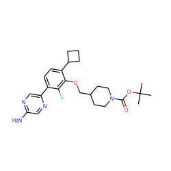 CC(C)(C)OC(=O)N1CCC(COc2c(C3CCC3)ccc(-c3cnc(N)cn3)c2F)CC1 ZINC000224546735
