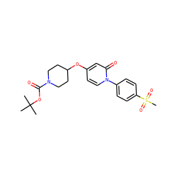 CC(C)(C)OC(=O)N1CCC(Oc2ccn(-c3ccc(S(C)(=O)=O)cc3)c(=O)c2)CC1 ZINC000059068038