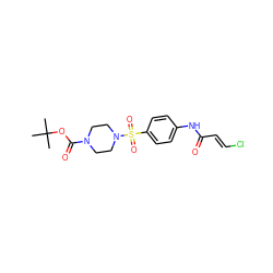 CC(C)(C)OC(=O)N1CCN(S(=O)(=O)c2ccc(NC(=O)/C=C/Cl)cc2)CC1 ZINC000084703880