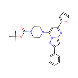 CC(C)(C)OC(=O)N1CCN(c2cc(-c3ccco3)nc3cc(-c4ccccc4)nn23)CC1 ZINC000095570651