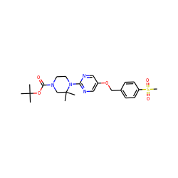 CC(C)(C)OC(=O)N1CCN(c2ncc(OCc3ccc(S(C)(=O)=O)cc3)cn2)C(C)(C)C1 ZINC000084741687