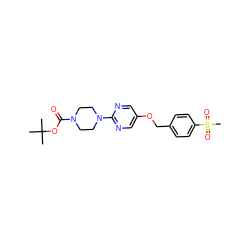 CC(C)(C)OC(=O)N1CCN(c2ncc(OCc3ccc(S(C)(=O)=O)cc3)cn2)CC1 ZINC000084732511