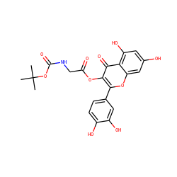 CC(C)(C)OC(=O)NCC(=O)Oc1c(-c2ccc(O)c(O)c2)oc2cc(O)cc(O)c2c1=O ZINC000043077797