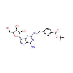 CC(C)(C)OC(=O)c1ccc(CCNc2nc(N)c3ncn([C@@H]4O[C@H](CO)[C@@H](O)[C@H]4O)c3n2)cc1 ZINC000013823875