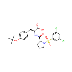 CC(C)(C)Oc1ccc(C[C@H](NC(=O)[C@@H]2CCCN2S(=O)(=O)c2cc(Cl)cc(Cl)c2)C(=O)O)cc1 ZINC000029388539