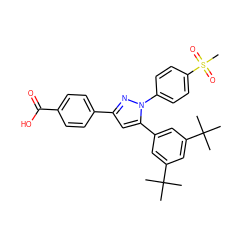 CC(C)(C)c1cc(-c2cc(-c3ccc(C(=O)O)cc3)nn2-c2ccc(S(C)(=O)=O)cc2)cc(C(C)(C)C)c1 ZINC000225948789