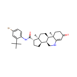 CC(C)(C)c1cc(Br)ccc1NC(=O)[C@H]1CC[C@@H]2[C@@H]3CNC4=CC(=O)CC[C@]4(C)[C@@H]3CC[C@]12C ZINC000026576572