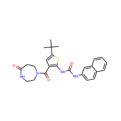 CC(C)(C)c1cc(C(=O)N2CCNC(=O)CC2)c(NC(=O)Nc2ccc3ccccc3c2)s1 ZINC000034662530