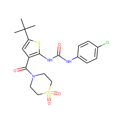 CC(C)(C)c1cc(C(=O)N2CCS(=O)(=O)CC2)c(NC(=O)Nc2ccc(Cl)cc2)s1 ZINC000073197912