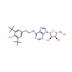 CC(C)(C)c1cc(CCNc2ncnc3c2ncn3[C@@H]2O[C@H](CO)[C@@H](O)[C@H]2O)cc(C(C)(C)C)c1O ZINC000049088355